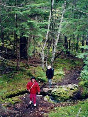 Wildlife Hike & Float  Skagway